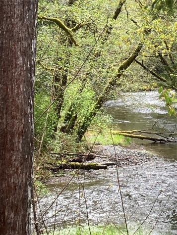 0 East Of Bingham Creek Elma WA 98541