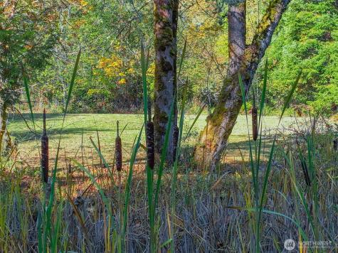 17328 Mulqueen Road SE Rainier WA 98576