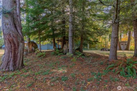 17328 Mulqueen Road SE Rainier WA 98576