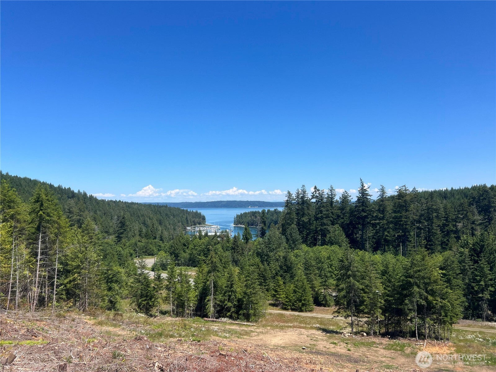 3 Mount Jupiter Road Brinnon WA 98320
