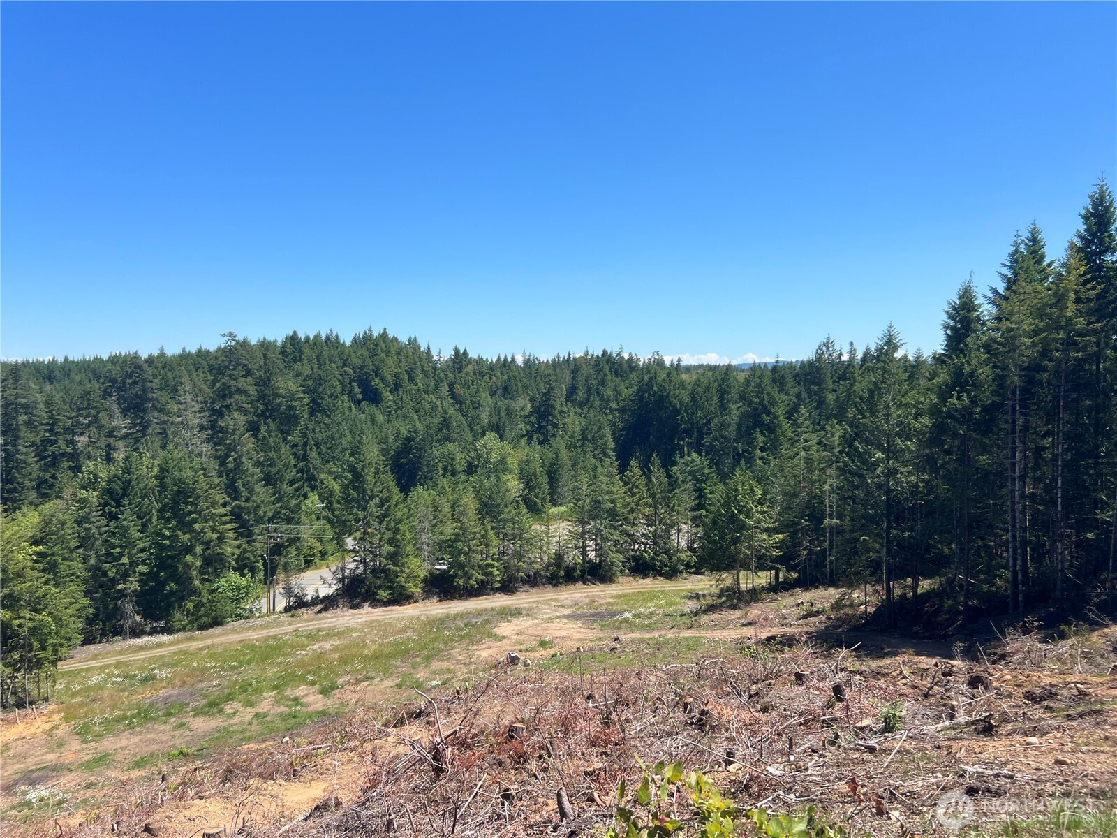 3 Mount Jupiter Road Brinnon WA 98320