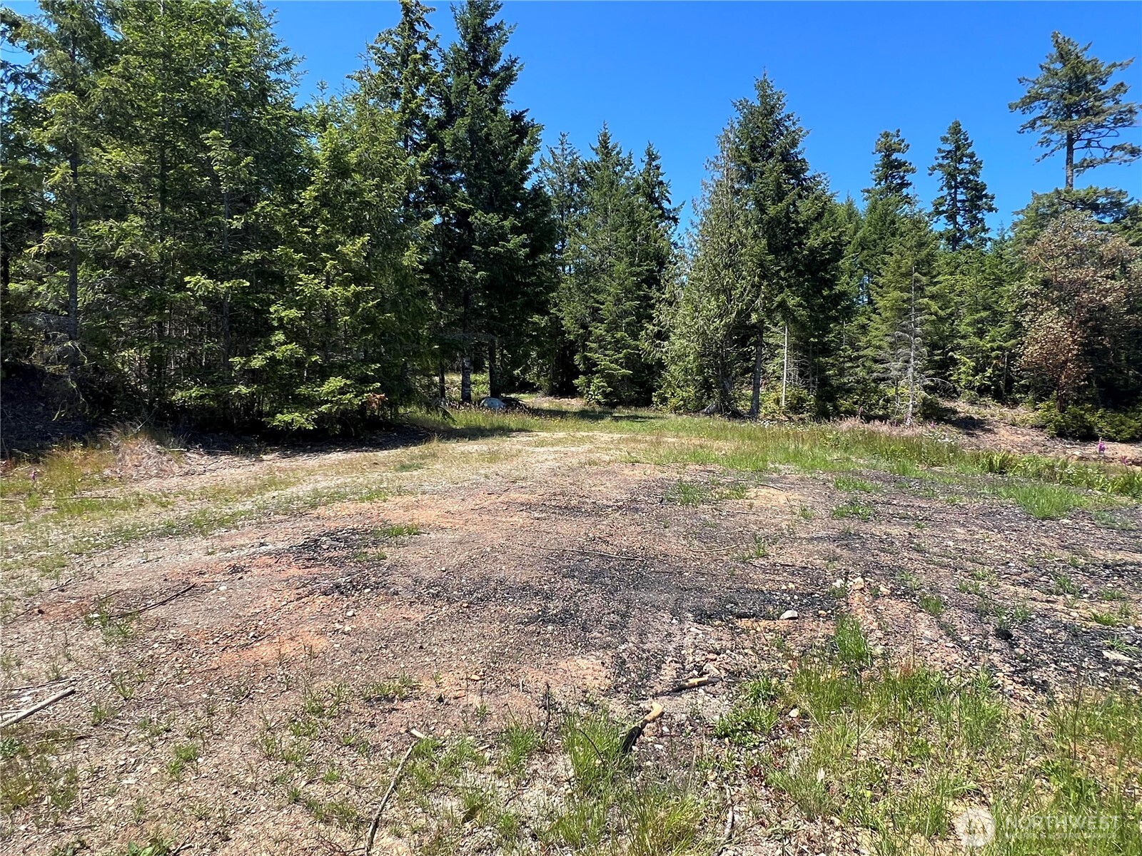 3 Mount Jupiter Road Brinnon WA 98320
