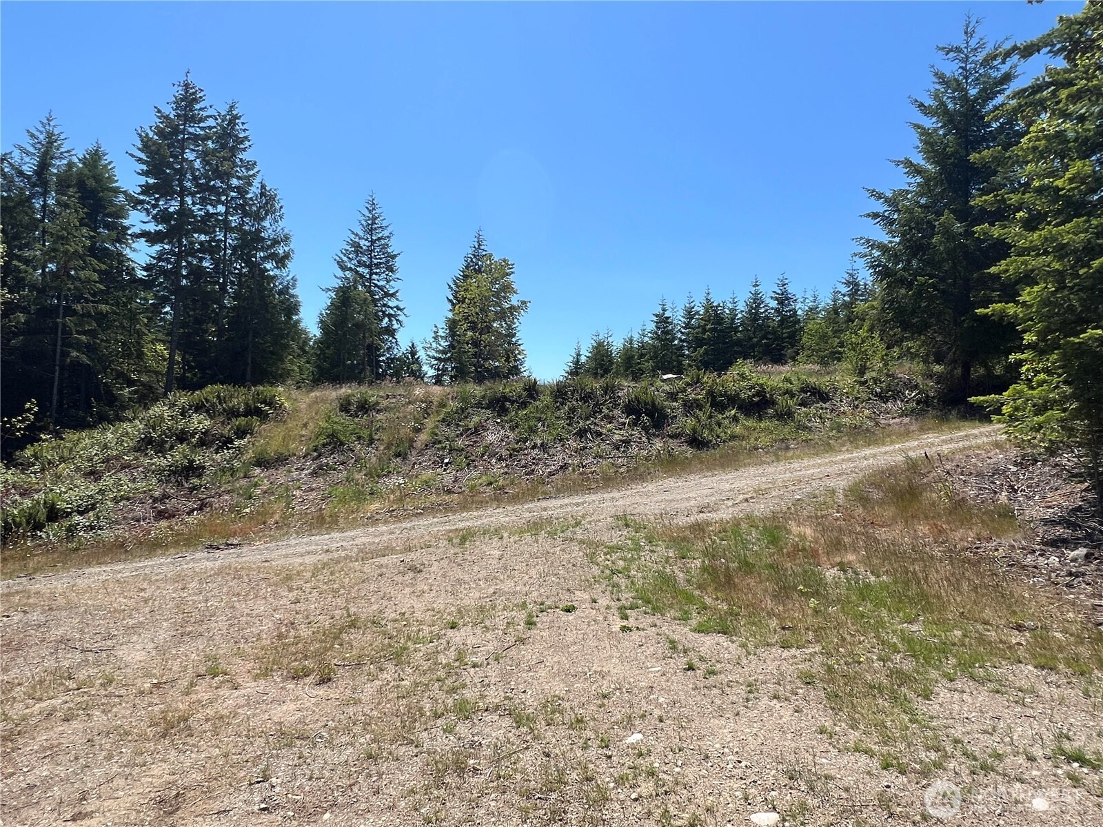 3 Mount Jupiter Road Brinnon WA 98320