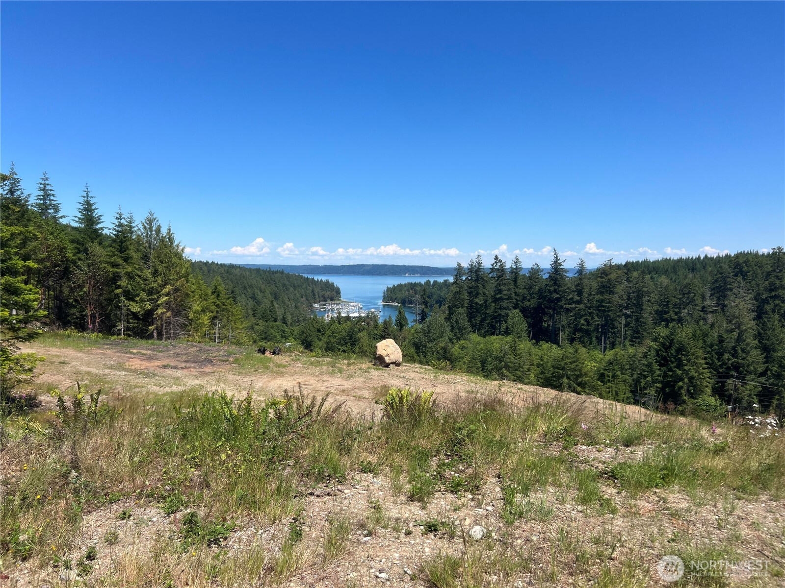 3 Mount Jupiter Road Brinnon WA 98320