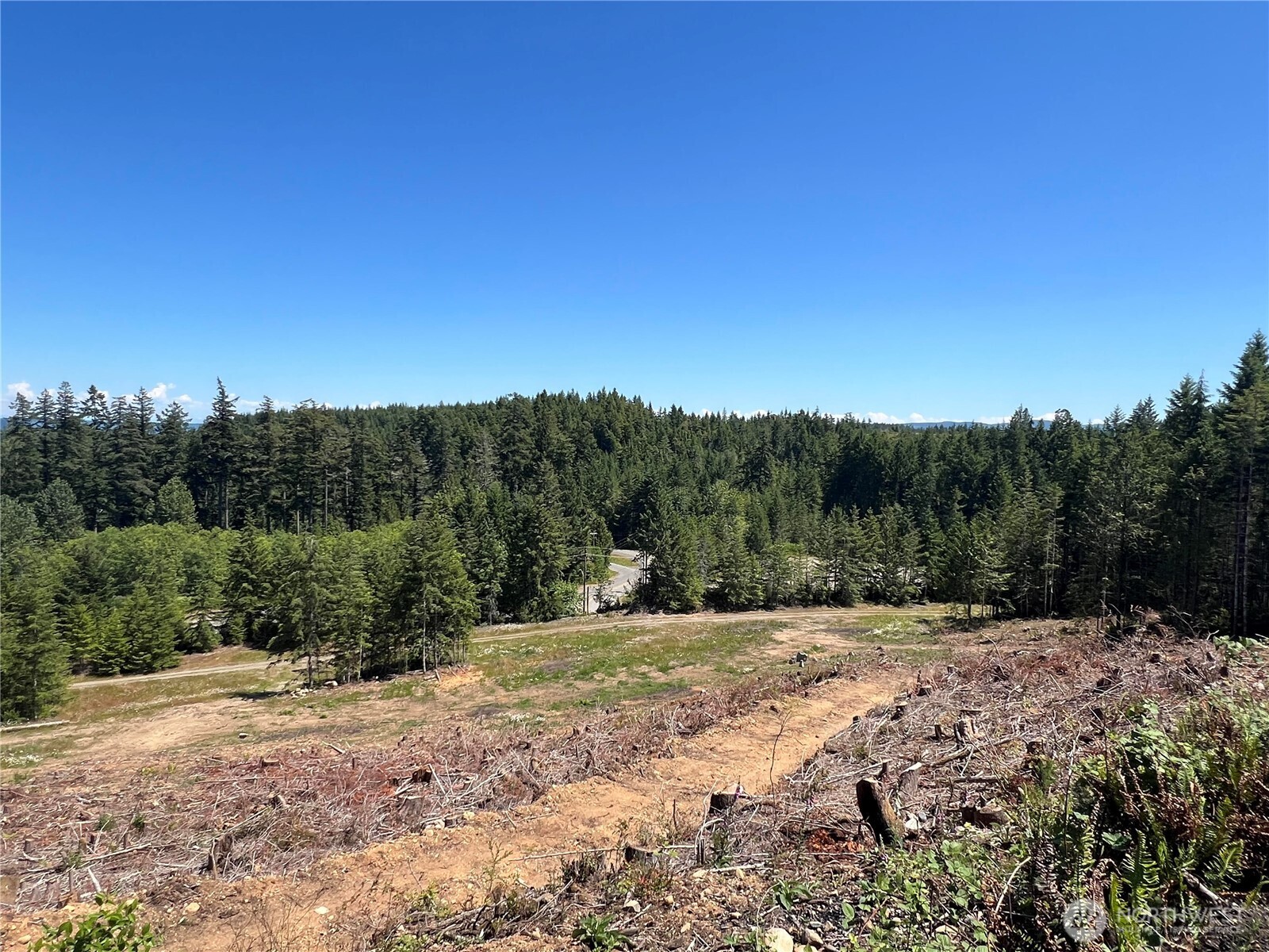 3 Mount Jupiter Road Brinnon WA 98320