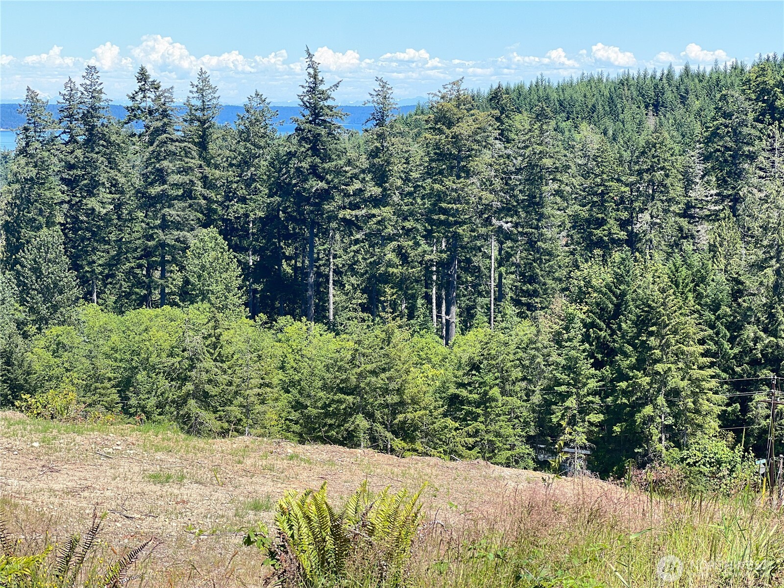 3 Mount Jupiter Road Brinnon WA 98320