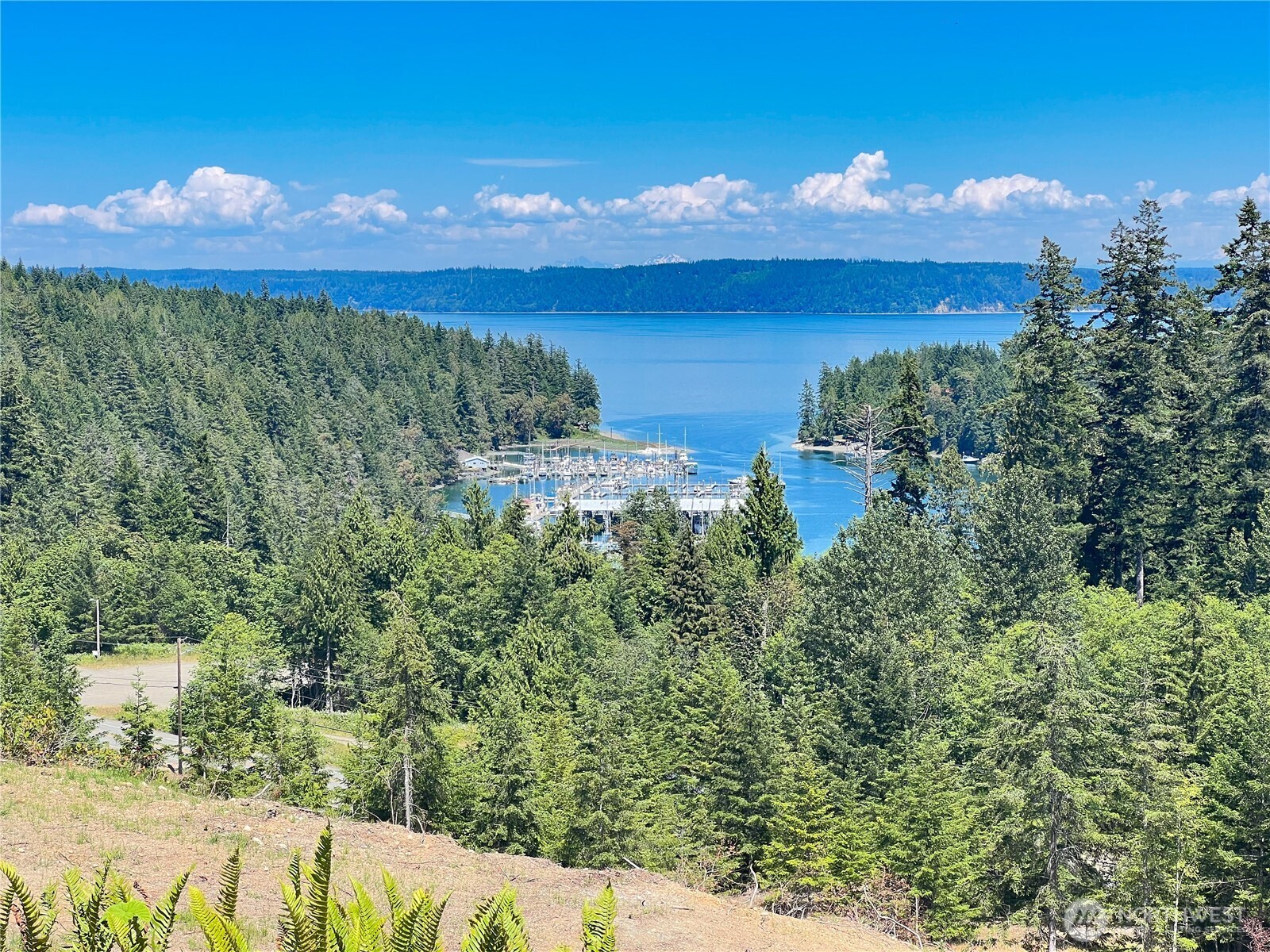 3 Mount Jupiter Road Brinnon WA 98320