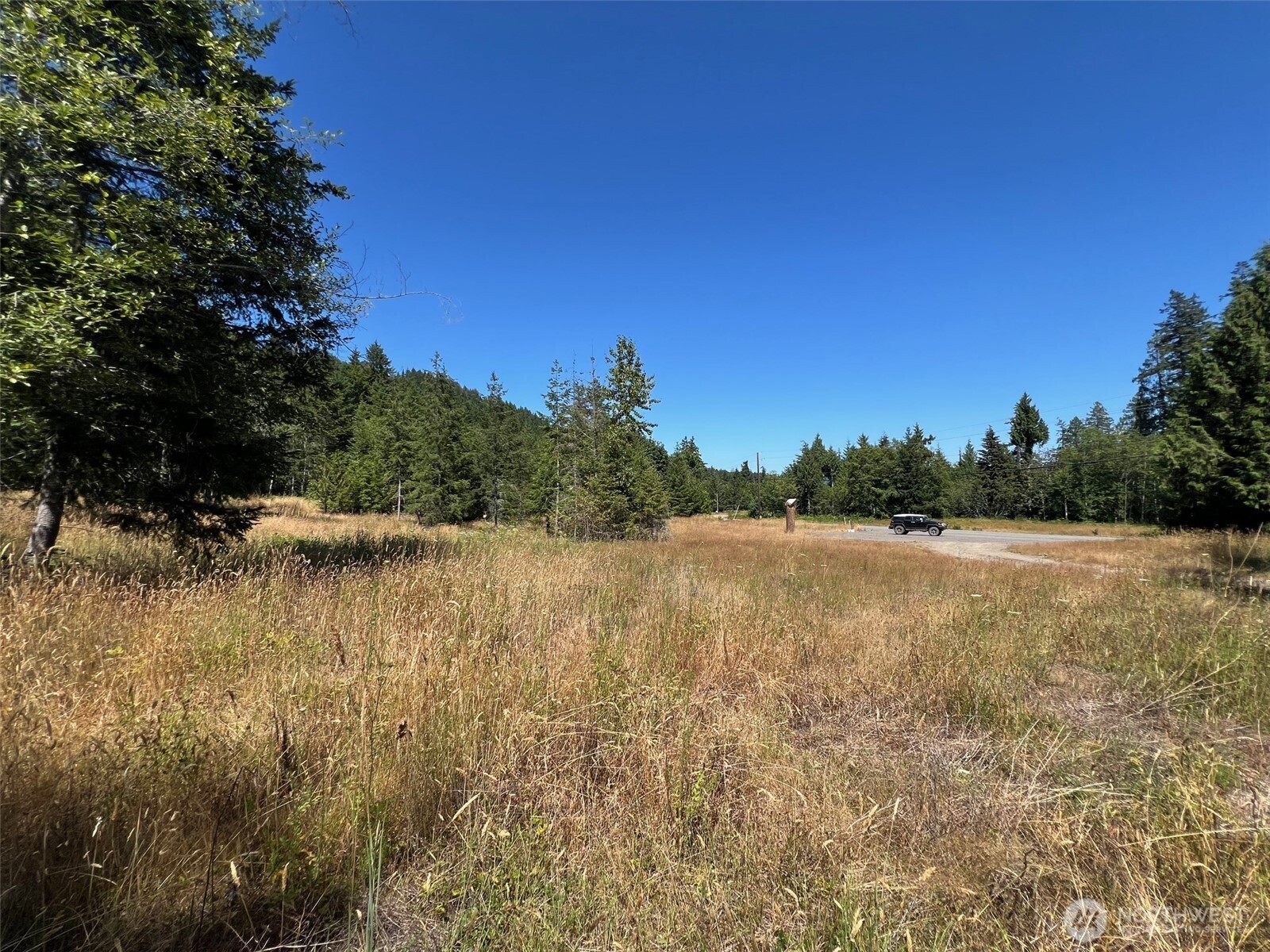 3 Mount Jupiter Road Brinnon WA 98320