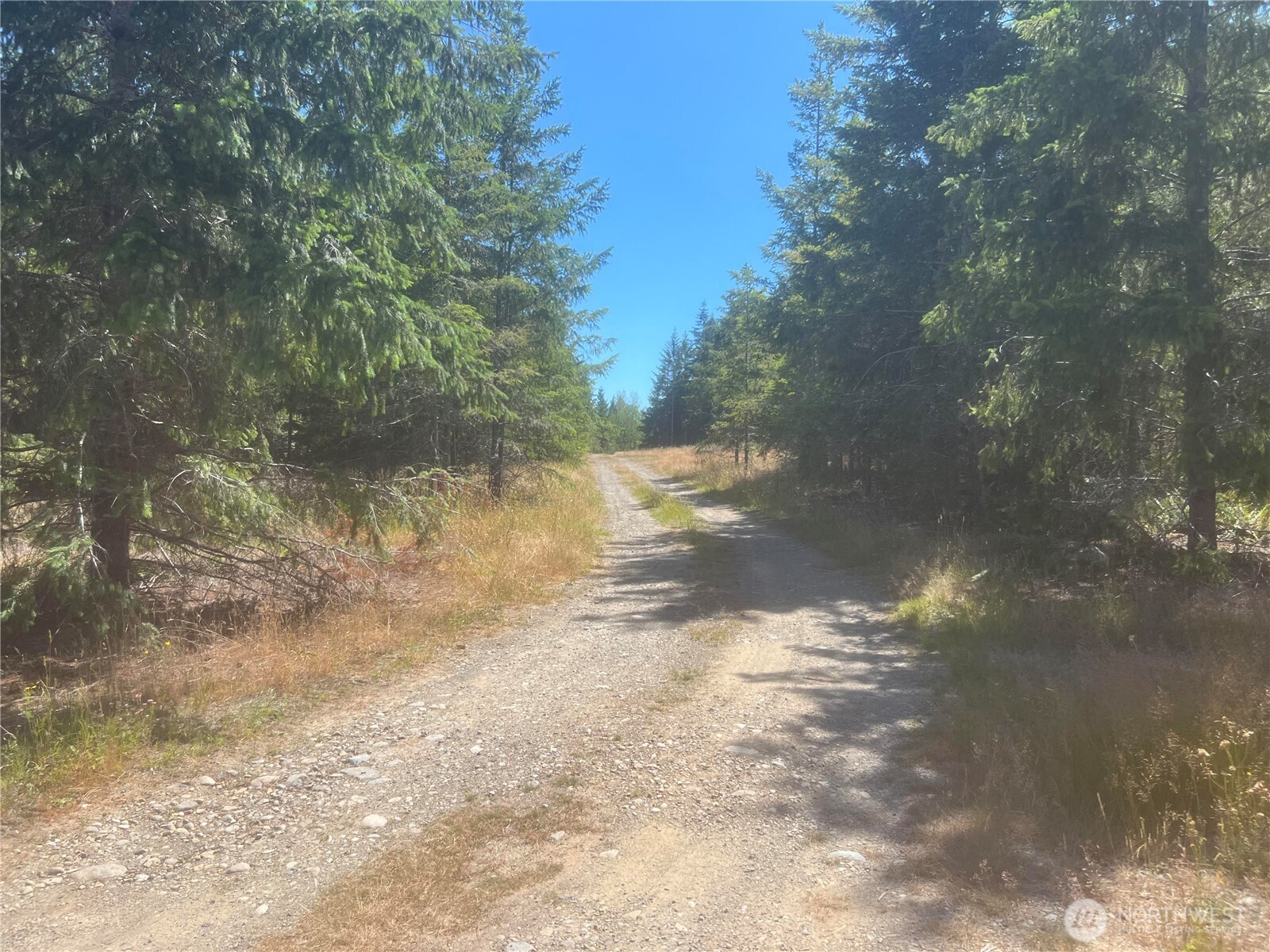 3 Mount Jupiter Road Brinnon WA 98320