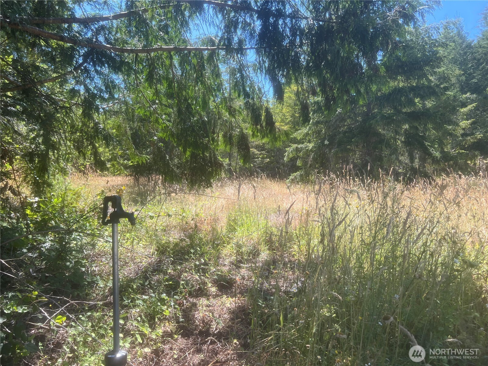 3 Mount Jupiter Road Brinnon WA 98320
