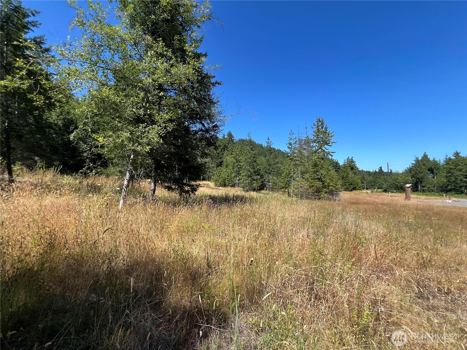 3 Mount Jupiter Road Brinnon WA 98320