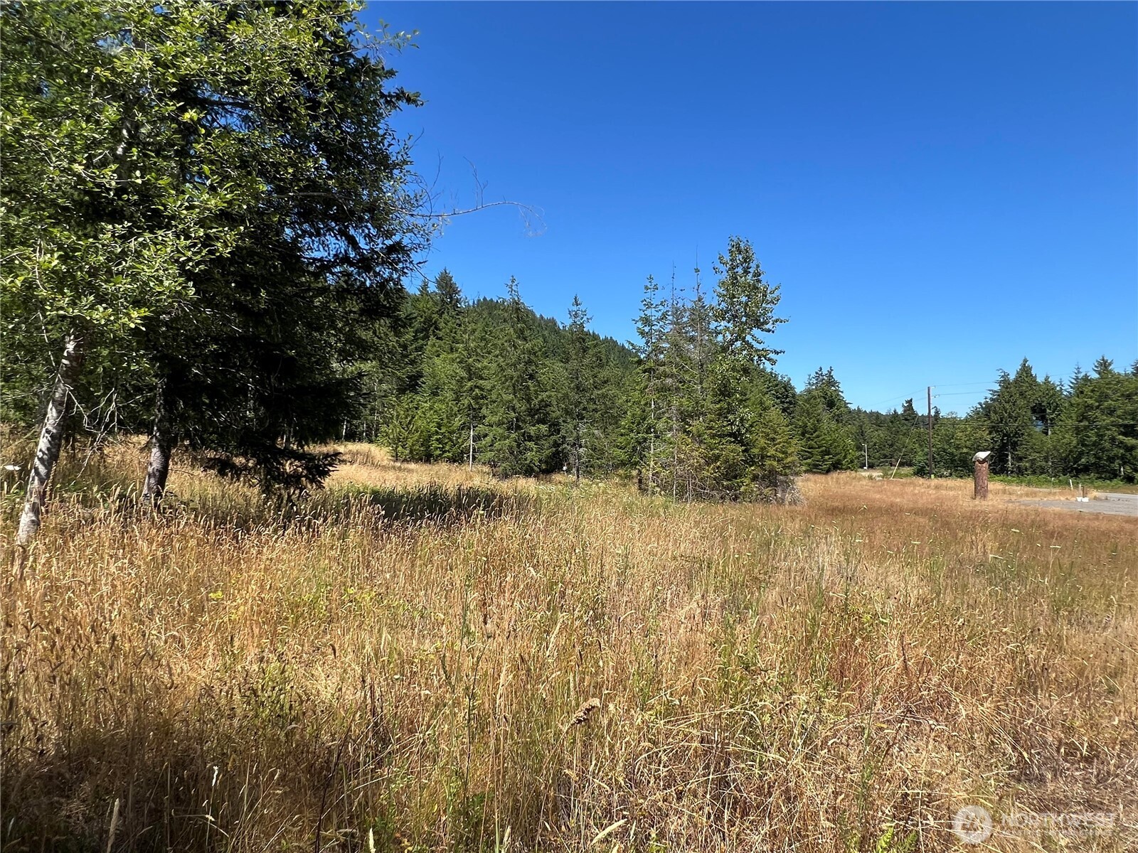 3 Mount Jupiter Road Brinnon WA 98320