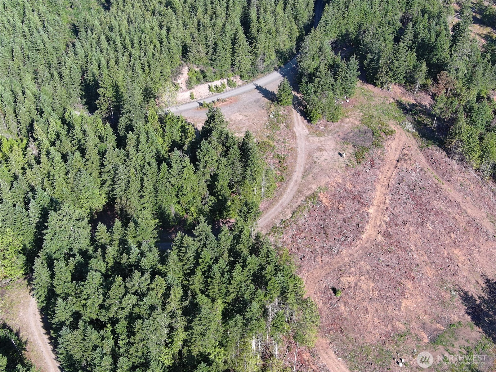 3 Mount Jupiter Road Brinnon WA 98320