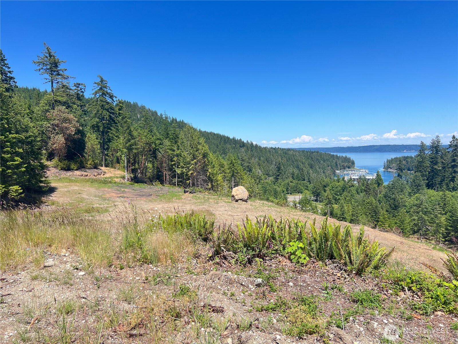 3 Mount Jupiter Road Brinnon WA 98320