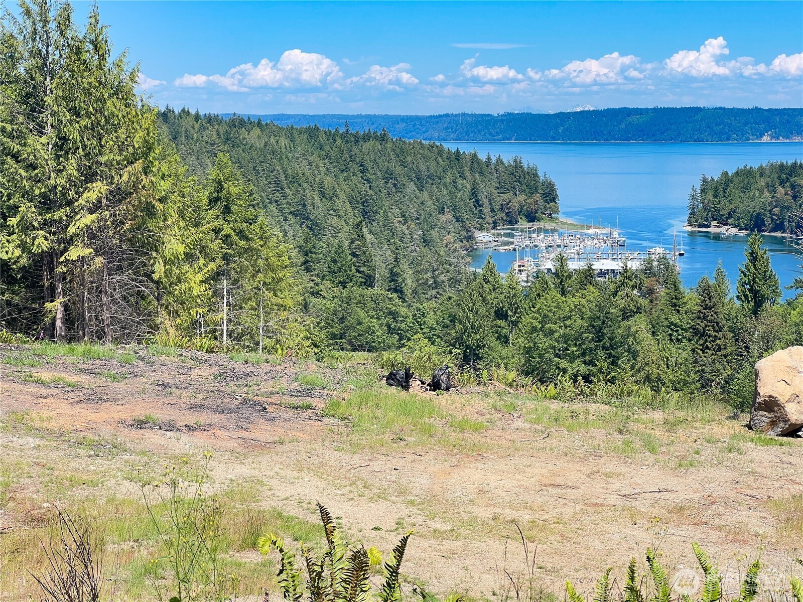 3 Mount Jupiter Road Brinnon WA 98320