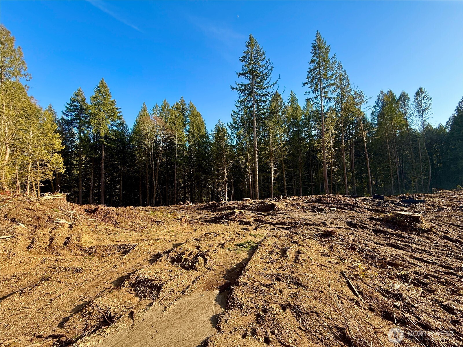 100 E Lakewood Drive Belfair WA 98528
