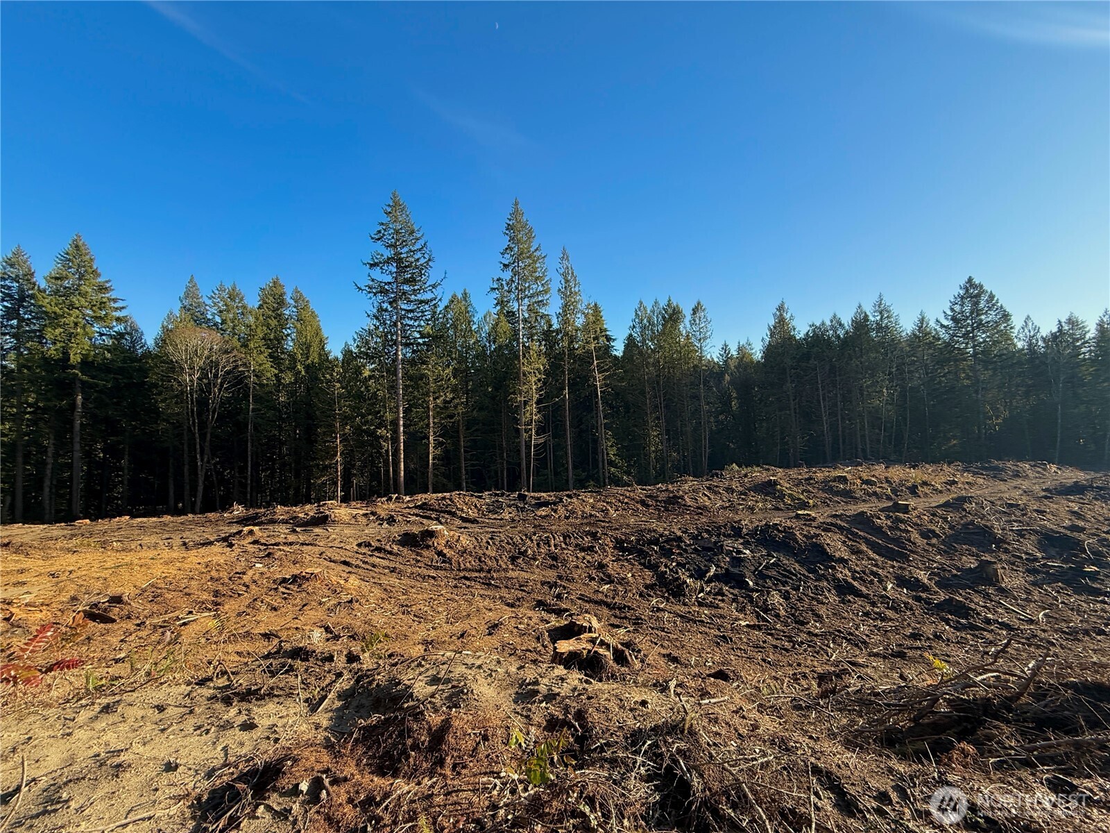 100 E Lakewood Drive Belfair WA 98528