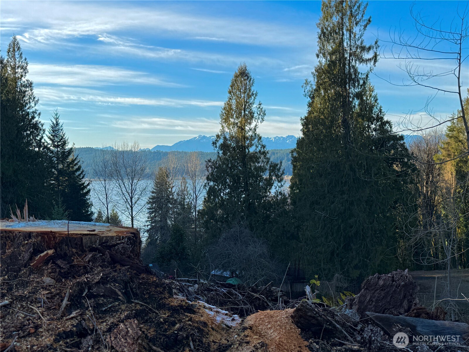 100 E Lakewood Drive Belfair WA 98528