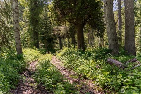101 Cassel Way Mazama WA 98833
