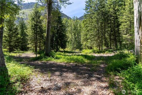 101 Cassel Way Mazama WA 98833
