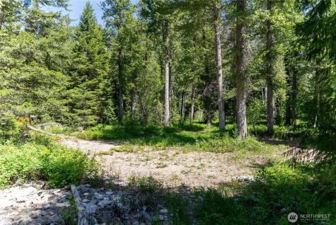 101 Cassel Way Mazama WA 98833