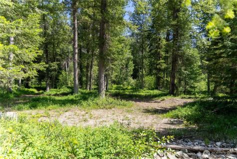 101 Cassel Way Mazama WA 98833