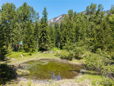 101 Cassel Way Mazama WA 98833