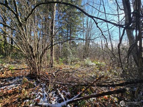 137 SE 202nd Place Kent WA 98042