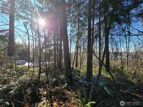 137 SE 202nd Place Kent WA 98042