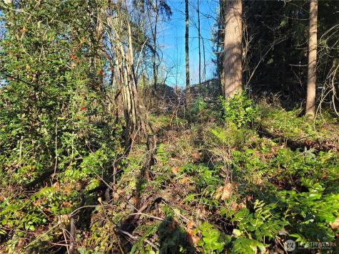 137 SE 202nd Place Kent WA 98042
