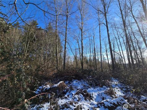 137 SE 202nd Place Kent WA 98042