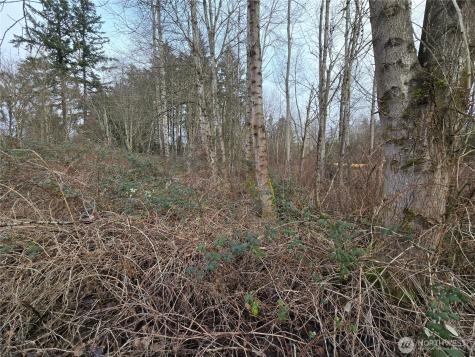 137 SE 202nd Place Kent WA 98042