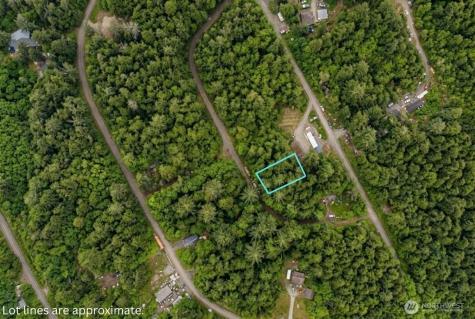 0 Hummingbird Drive Taholah WA 98587