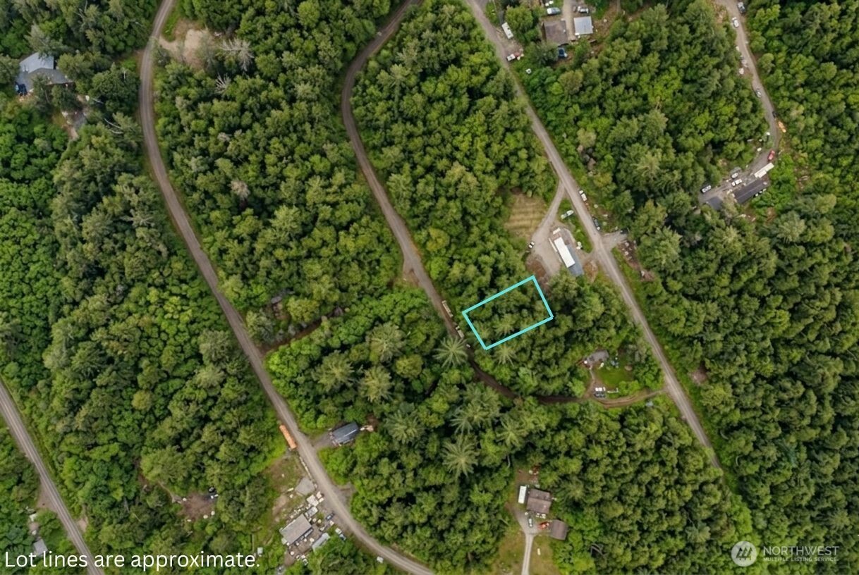 0 Hummingbird Drive Taholah WA 98587