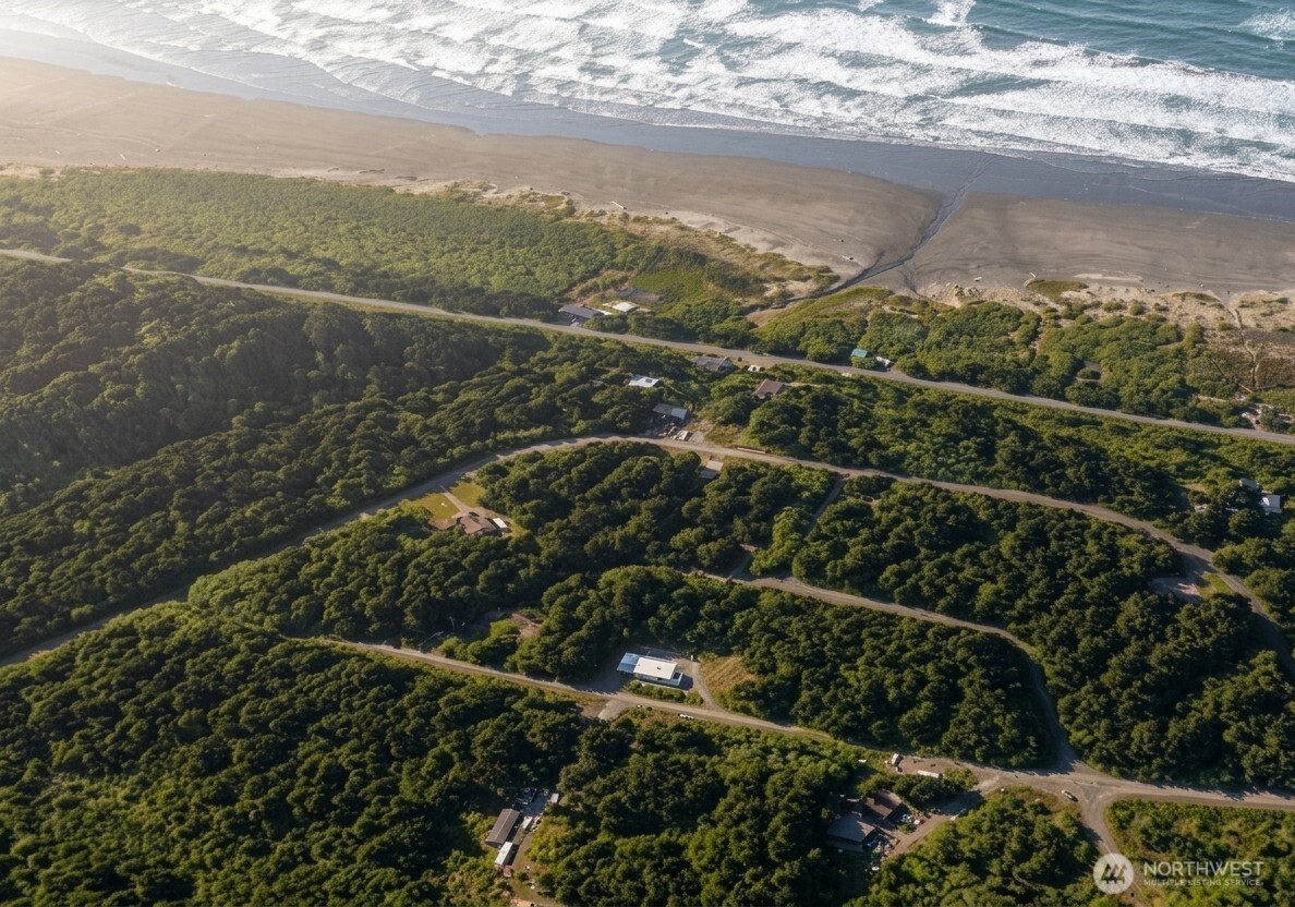 0 Hummingbird Drive Taholah WA 98587