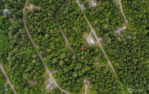 0 Hummingbird Drive Taholah WA 98587