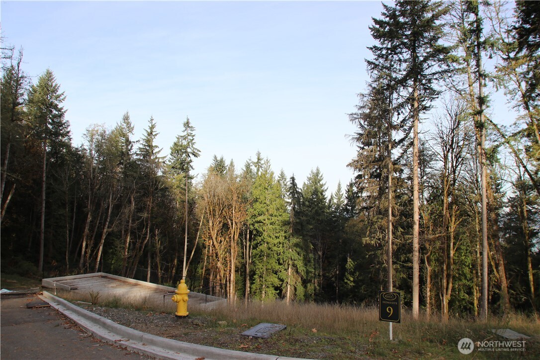 17760 SE 62nd Place Bellevue WA 98006