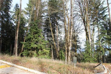 17760 SE 62nd Place Bellevue WA 98006