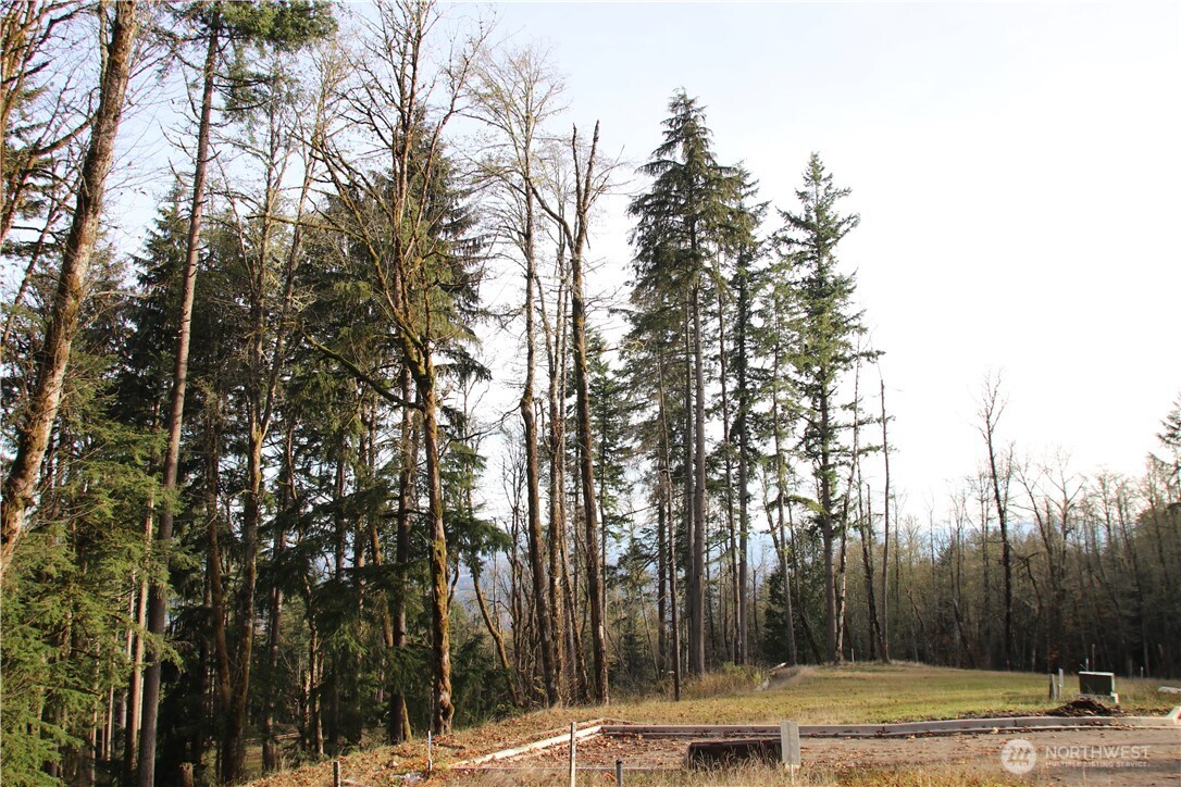 17760 SE 62nd Place Bellevue WA 98006