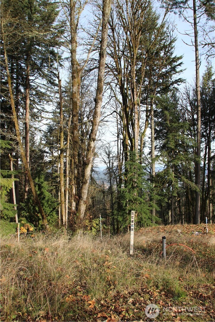 17760 SE 62nd Place Bellevue WA 98006