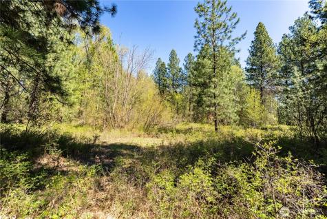 19 Green Road Winthrop WA 98862
