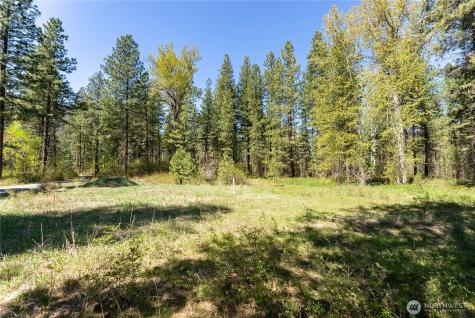 19 Green Road Winthrop WA 98862