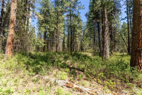 19 Green Road Winthrop WA 98862