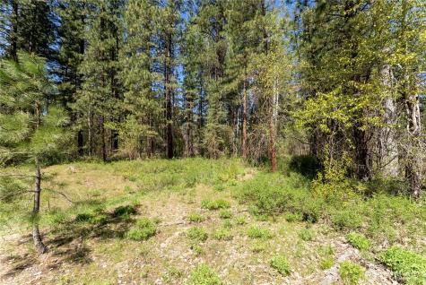 19 Green Road Winthrop WA 98862
