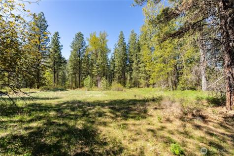 19 Green Road Winthrop WA 98862