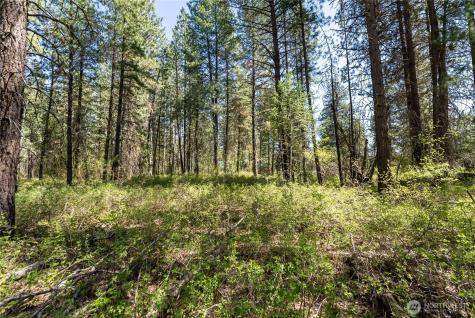 19 Green Road Winthrop WA 98862