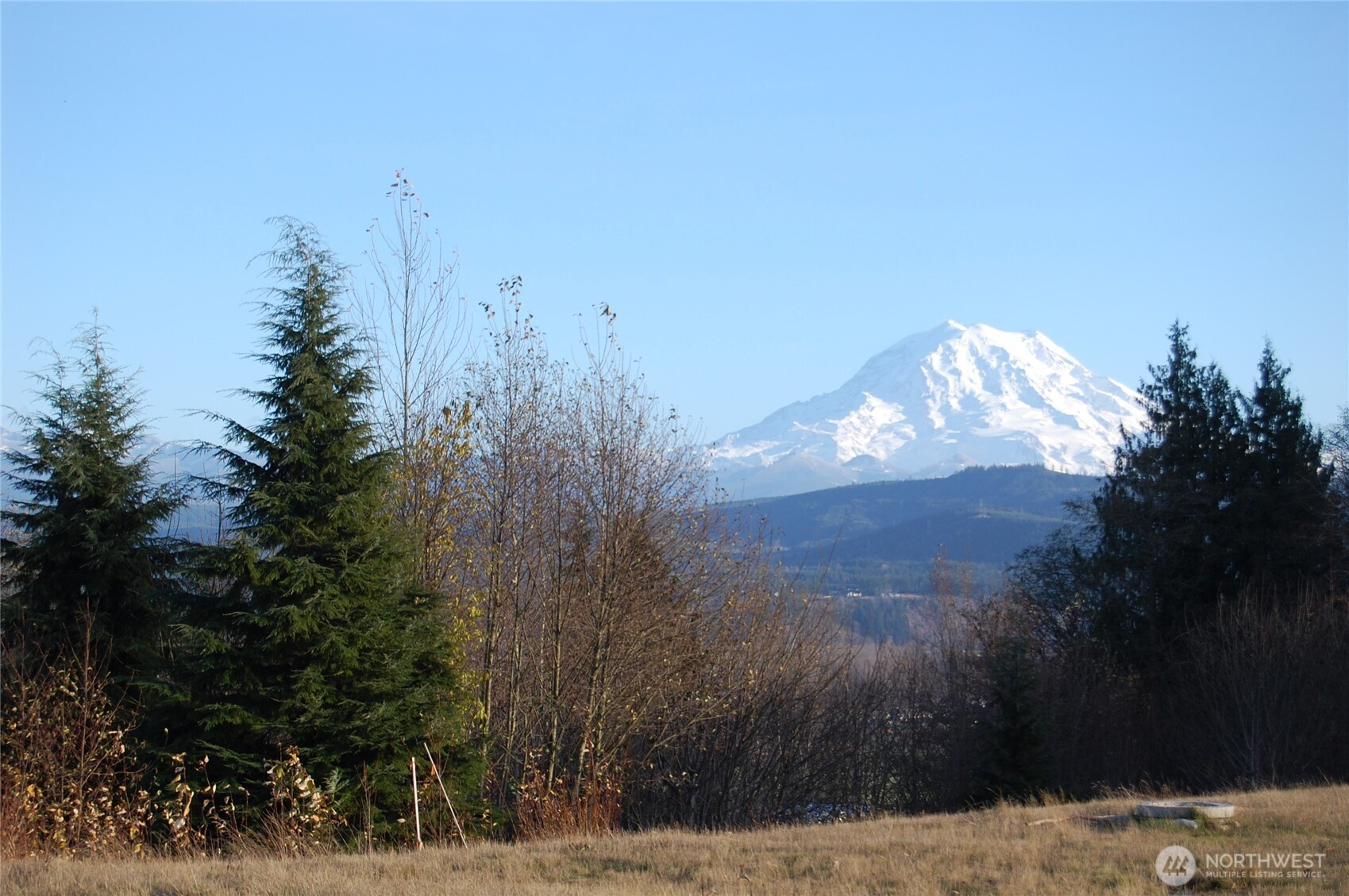 14015 172nd Street Ct E Puyallup WA 98374