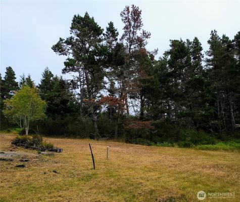 715 S Forrest Street Westport WA 98595