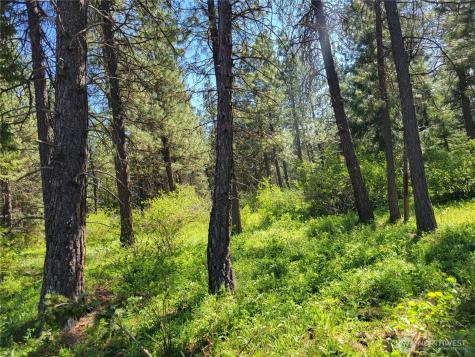 27 Summit View At Wallace Ranch Cle Elum WA 98922