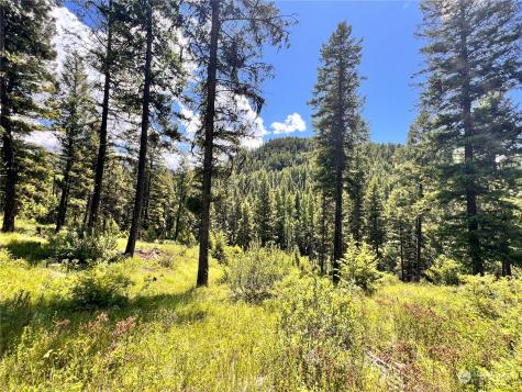 0 Old Kettle Falls Road Republic WA 99166